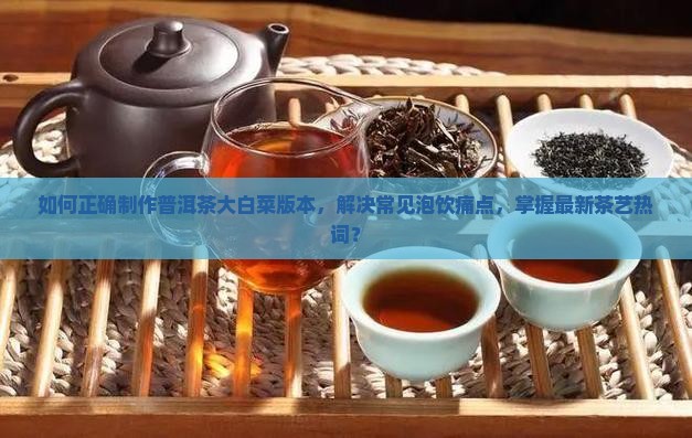 如何正确制作普洱茶大白菜版本，解决常见泡饮痛点，掌握最新茶艺热词？