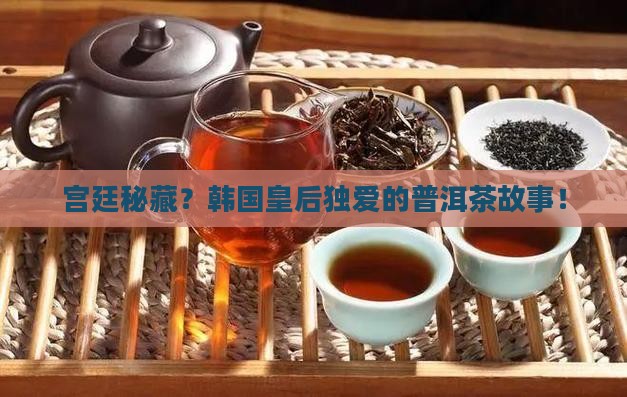 宫廷秘藏？韩国皇后独爱的普洱茶故事！
