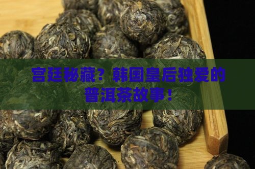 宫廷秘藏？韩国皇后独爱的普洱茶故事！
