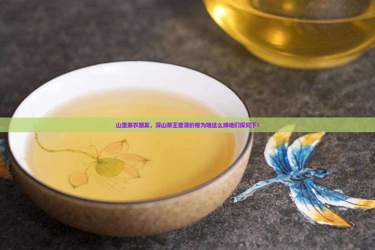 山里茶农朋友，深山茶王普洱价格为啥这么缚咱们探究下！