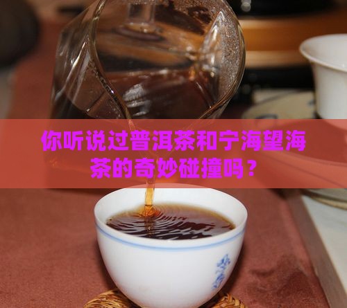 你听说过普洱茶和宁海望海茶的奇妙碰撞吗？