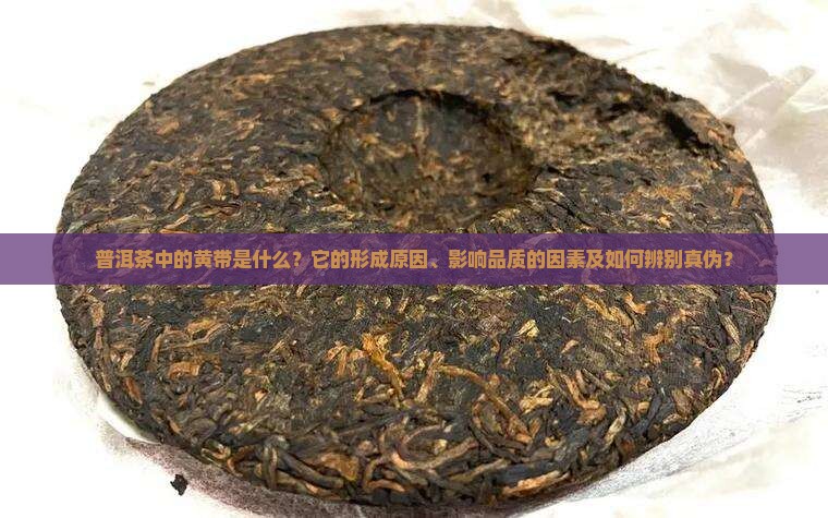 普洱茶中的黄带是什么？它的形成原因、影响品质的因素及如何辨别真伪？