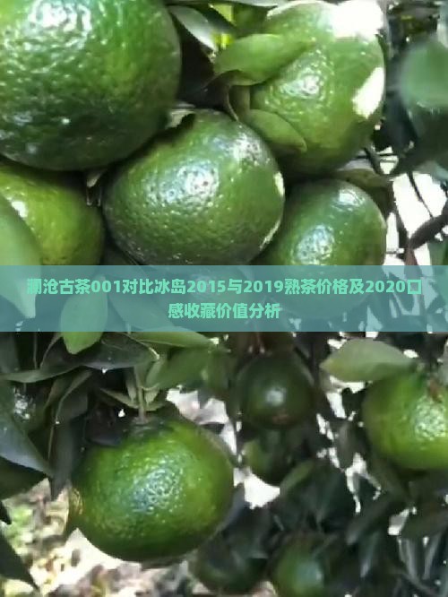 澜沧古茶001对比冰岛2015与2019熟茶价格及2020口感收藏价值分析