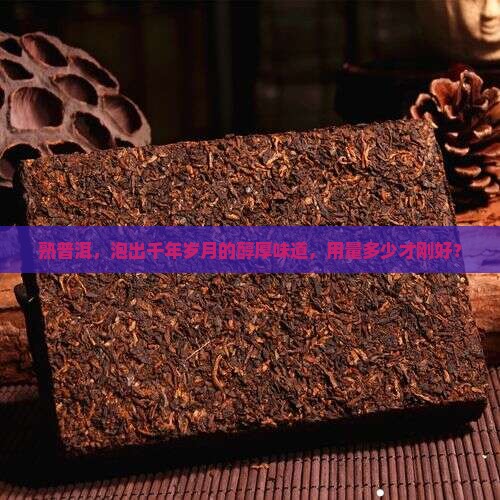 熟普洱，泡出千年岁月的醇厚味道，用量多少才刚好？