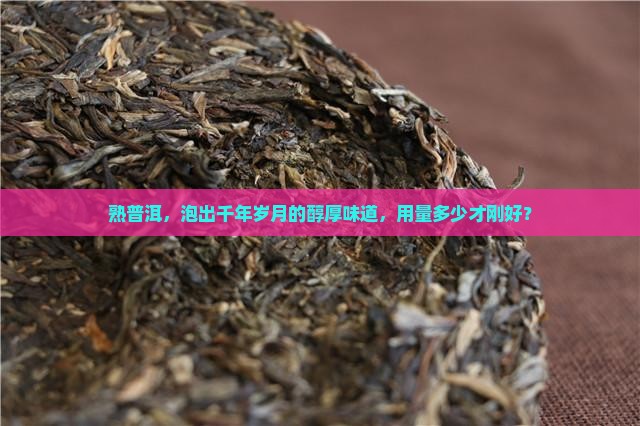 熟普洱，泡出千年岁月的醇厚味道，用量多少才刚好？