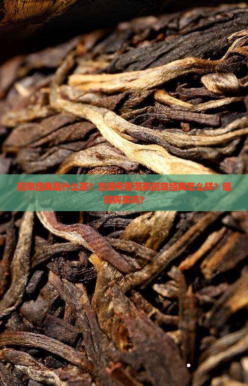 班章经典是什么茶？吉顺号普洱茶班章经典怎么样？值得购买吗？