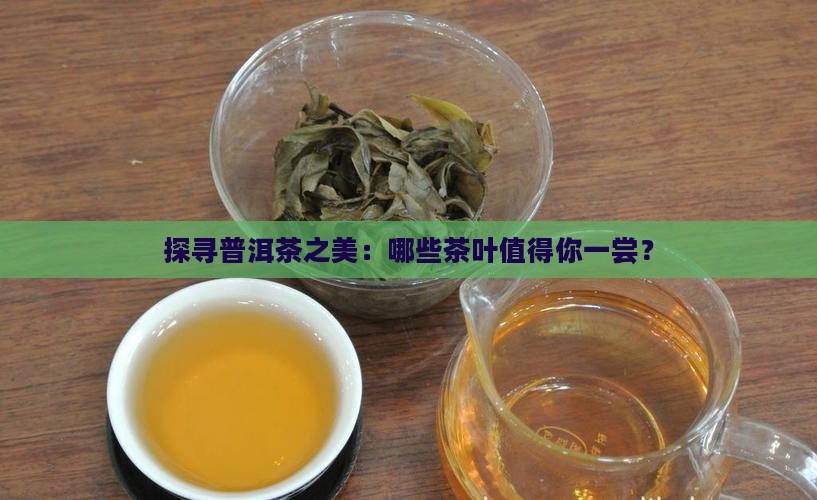 探寻普洱茶之美：哪些茶叶值得你一尝？