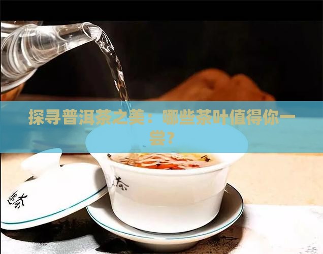 探寻普洱茶之美：哪些茶叶值得你一尝？