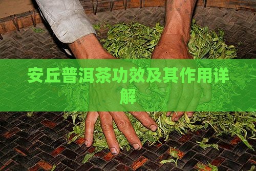 安丘普洱茶功效及其作用详解