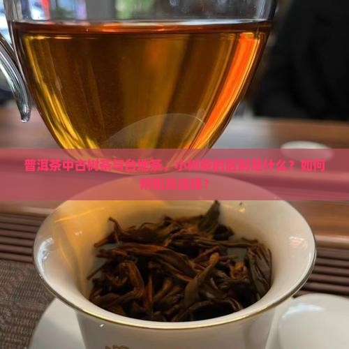 普洱茶中古树茶与台地茶、小树茶的区别是什么？如何辨别及选择？
