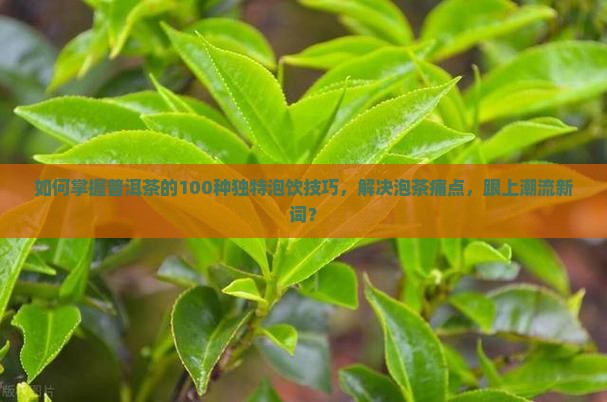 如何掌握普洱茶的100种独特泡饮技巧，解决泡茶痛点，跟上潮流新词？