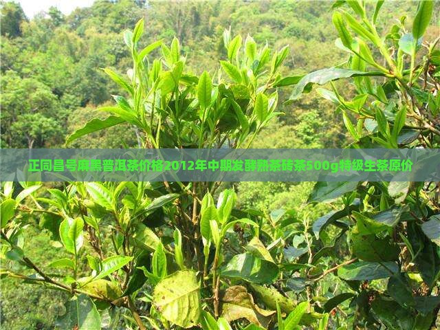 正同昌号麻黑普洱茶价格2012年中期发酵熟茶砖茶500g特级生茶原价