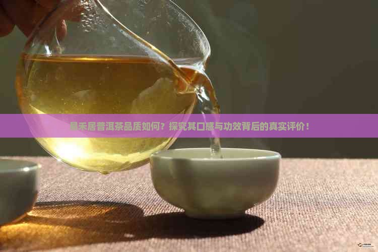 易禾居普洱茶品质如何？探究其口感与功效背后的真实评价！