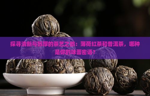 探寻清新与醇厚的茶艺之旅：薄荷红茶和普洱茶，哪种是你的味蕾密语？