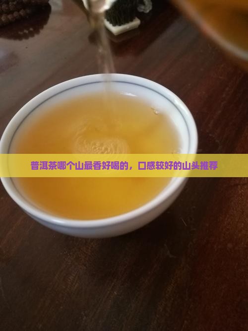 普洱茶哪个山最香好喝的，口感较好的山头推荐