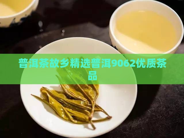 普洱茶故乡精选普洱9062优质茶品