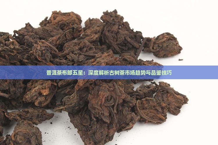 普洱茶布郎五星：深度解析古树茶市场趋势与品鉴技巧