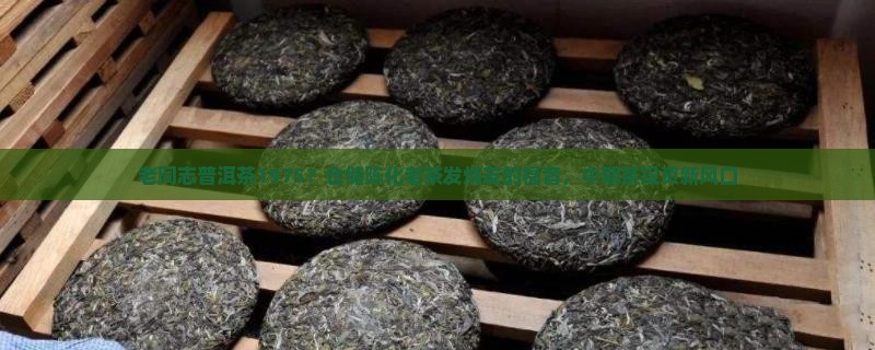 老同志普洱茶1975？仓储陈化老茶发烧友的福音，中期茶投资新风口