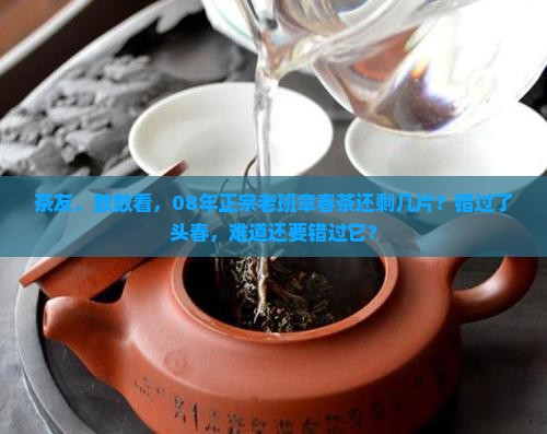 茶友，数数看，08年正宗老班章春茶还剩几片？错过了头春，难道还要错过它？