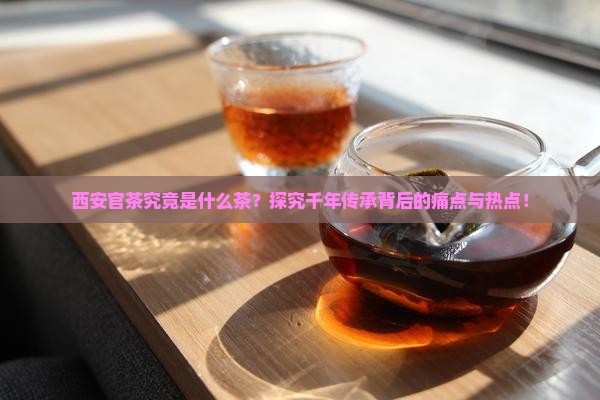 西安官茶究竟是什么茶？探究千年传承背后的痛点与热点！