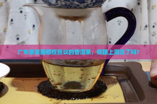 广东茶友圈都在热议的普洱茶，你跟上潮流了吗？