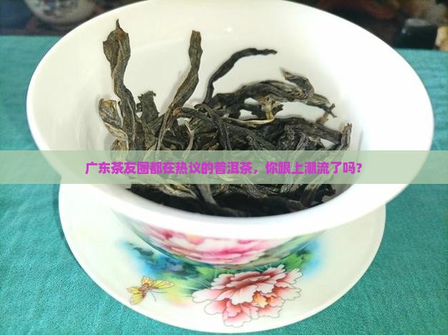 广东茶友圈都在热议的普洱茶，你跟上潮流了吗？
