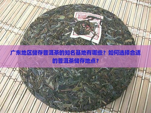 广东地区储存普洱茶的知名基地有哪些？如何选择合适的普洱茶储存地点？