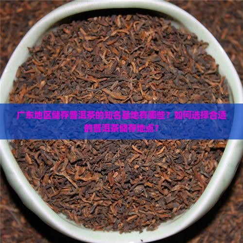广东地区储存普洱茶的知名基地有哪些？如何选择合适的普洱茶储存地点？