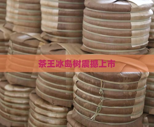 茶王冰岛树震撼上市