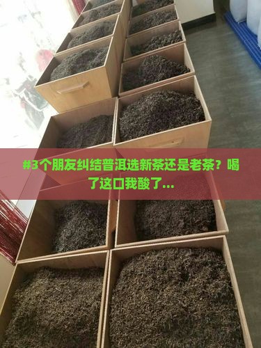 #3个朋友纠结普洱选新茶还是老茶？喝了这口我酸了...