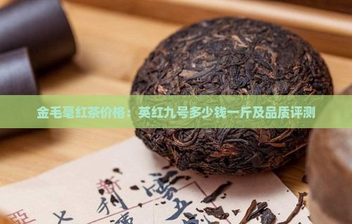 金毛毫红茶价格：英红九号多少钱一斤及品质评测