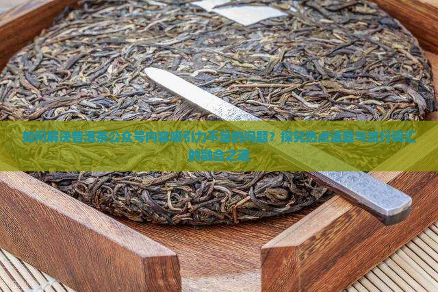 如何解决普洱茶公众号内容吸引力不足的问题？探究热点话题与流行词汇的融合之道