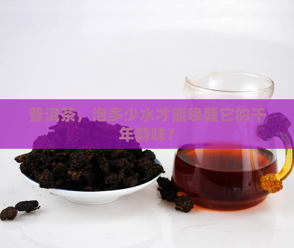 普洱茶，泡多少水才能唤醒它的千年韵味？