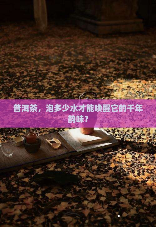 普洱茶，泡多少水才能唤醒它的千年韵味？