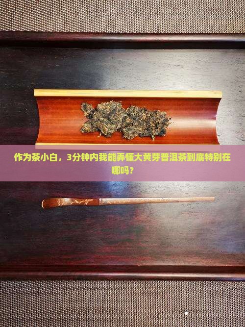 作为茶小白，3分钟内我能弄懂大黄芽普洱茶到底特别在哪吗？