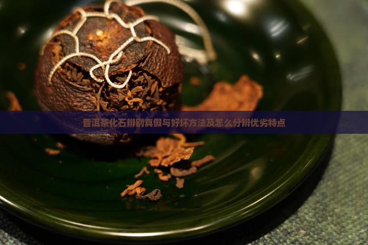 普洱茶化石辨别真假与好坏方法及怎么分辨优劣特点