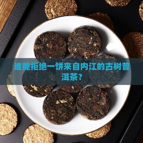 谁能拒绝一饼来自内江的古树普洱茶？