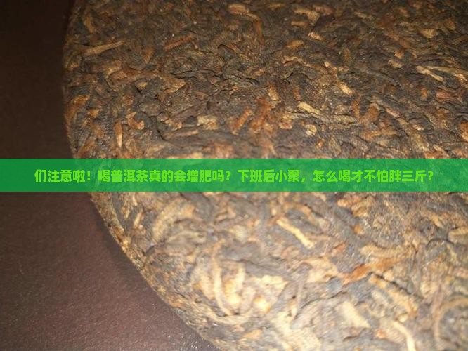 们注意啦！喝普洱茶真的会增肥吗？下班后小聚，怎么喝才不怕胖三斤？