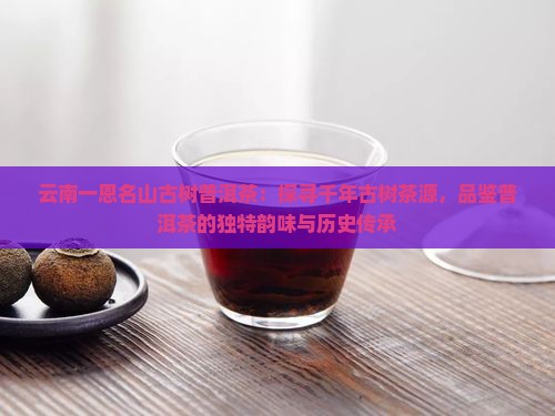 云南一恩名山古树普洱茶：探寻千年古树茶源，品鉴普洱茶的独特韵味与历史传承