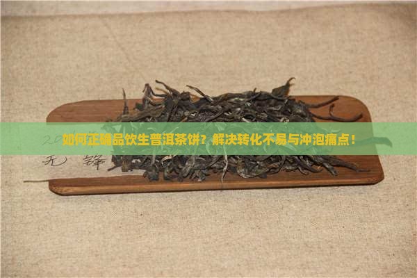 如何正确品饮生普洱茶饼？解决转化不易与冲泡痛点！