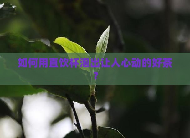 如何用直饮杯泡出让人心动的好茶？