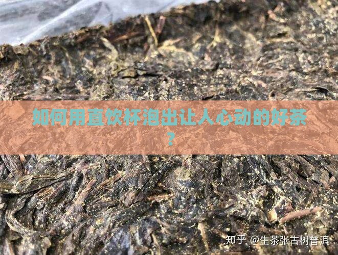 如何用直饮杯泡出让人心动的好茶？