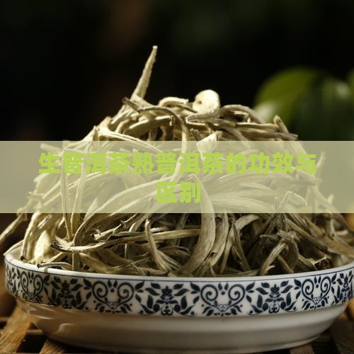 生普洱茶熟普洱茶的功效与区别