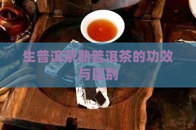 生普洱茶熟普洱茶的功效与区别