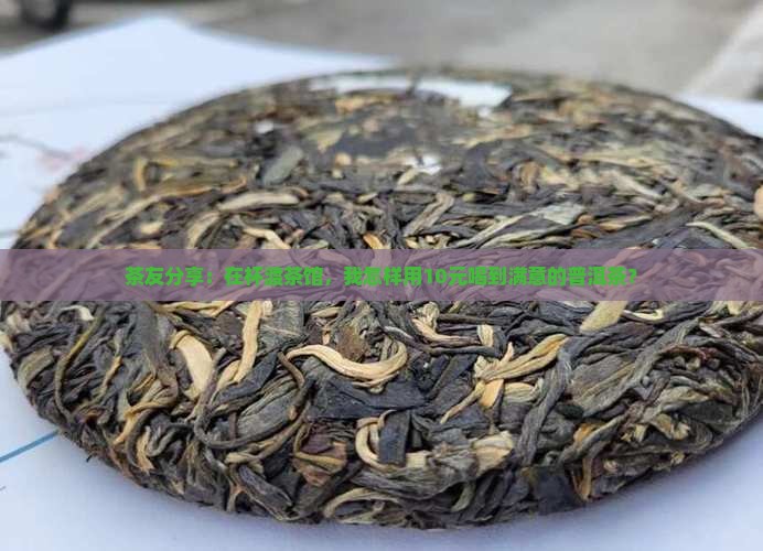 茶友分享：在杯渡茶馆，我怎样用10元喝到满意的普洱茶？