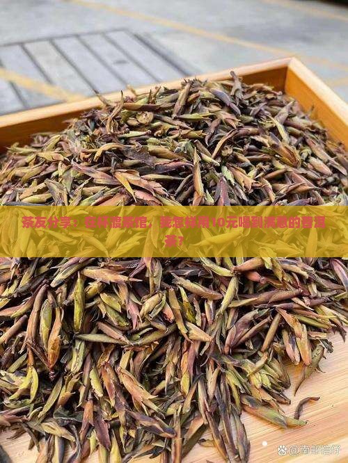 茶友分享：在杯渡茶馆，我怎样用10元喝到满意的普洱茶？