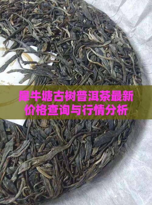 犀牛塘古树普洱茶最新价格查询与行情分析