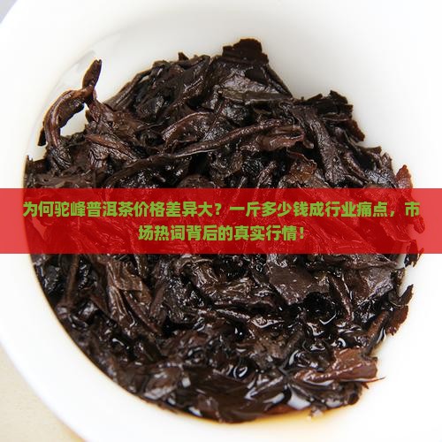 为何驼峰普洱茶价格差异大？一斤多少钱成行业痛点，市场热词背后的真实行情！