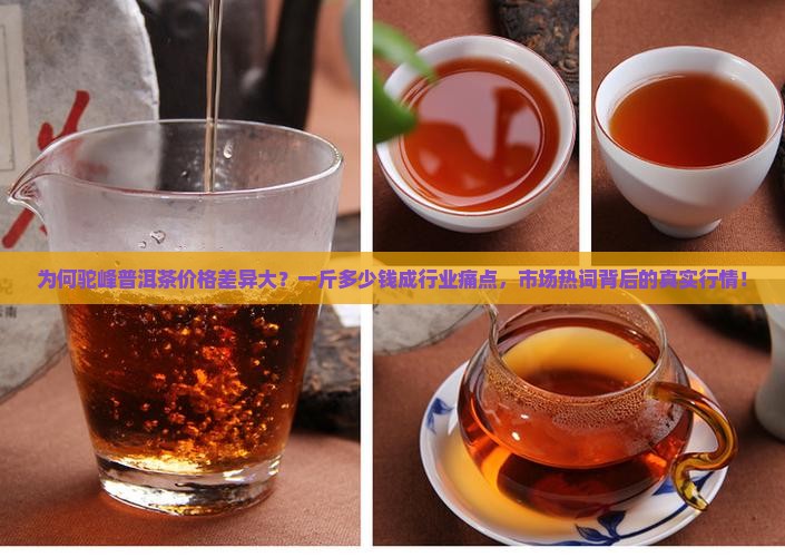为何驼峰普洱茶价格差异大？一斤多少钱成行业痛点，市场热词背后的真实行情！