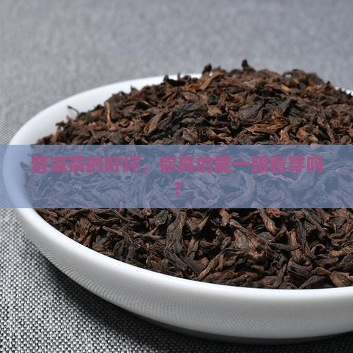 普洱茶的好坏，你真的能一眼看穿吗？